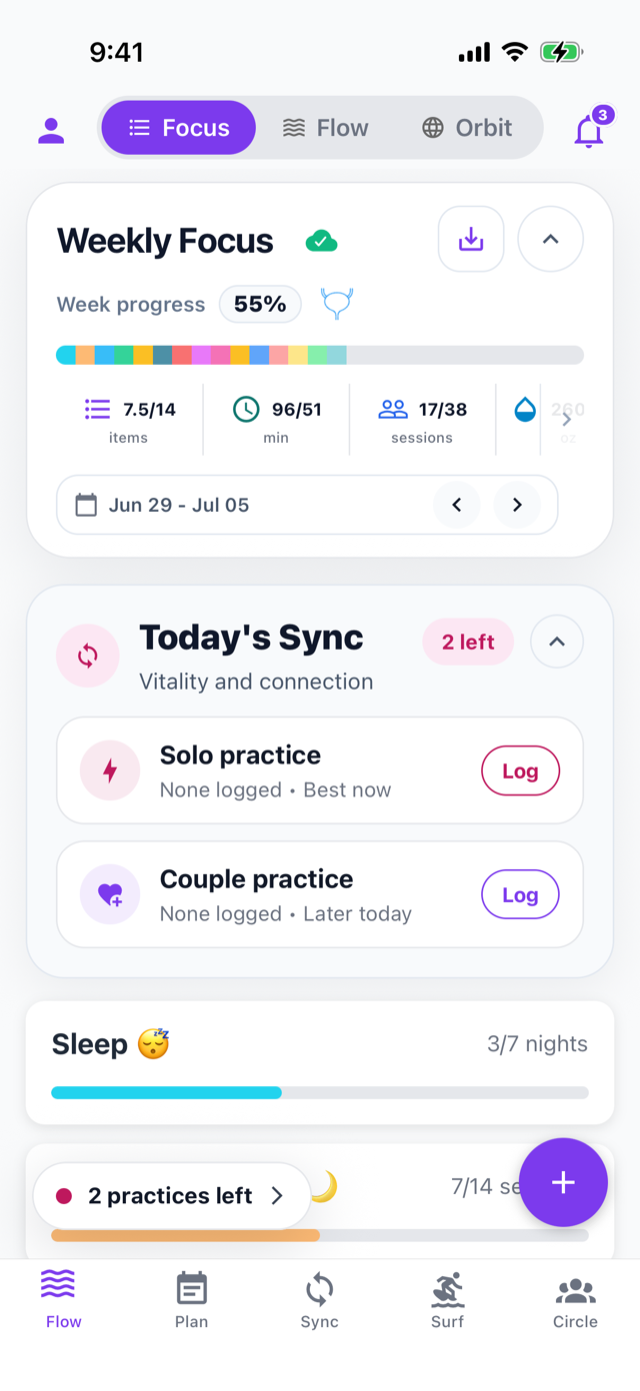 Holistic Surfing weekly dashboard on iPhone